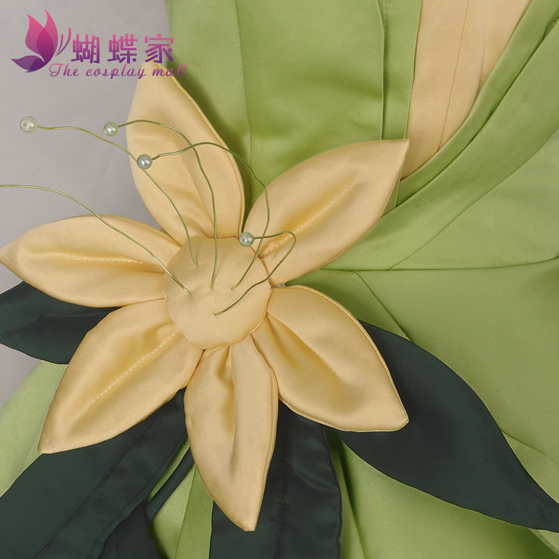 Princess Tiana Dress Cosplay C - Women Knight Accessories review and price