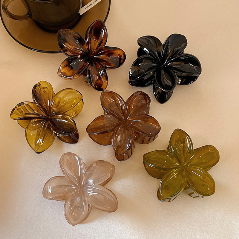 Women's Large-Size 8cm Brown B - Hair Claw Clip Set review and price