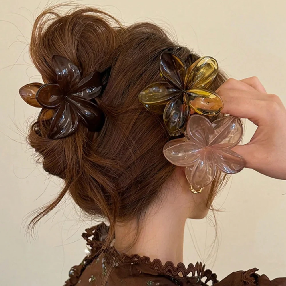 Women's Large-Size 8cm Brown B - Hair Claw Clip Set review and price