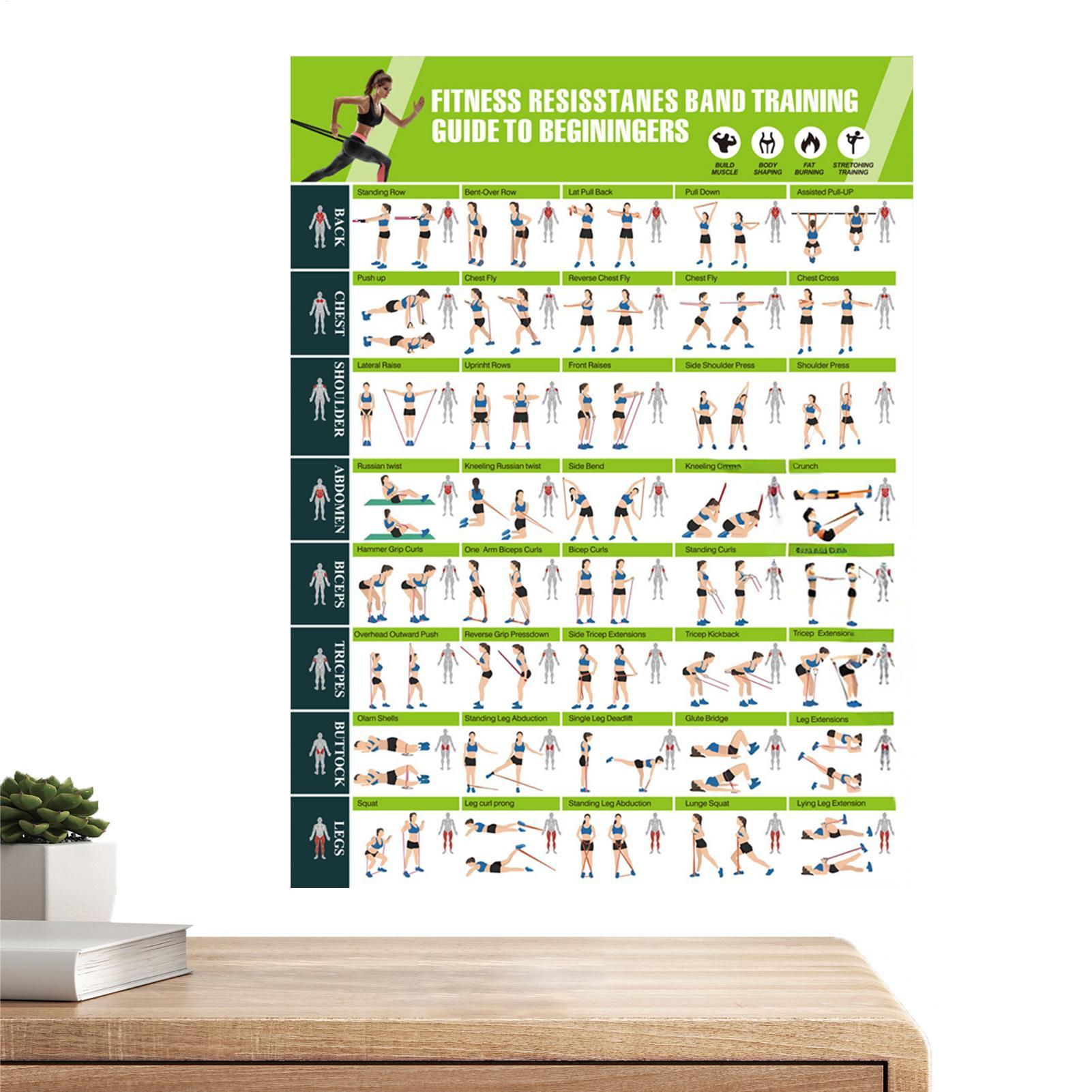 Exercise Posters Resistance Ba - Women Accessories Poster review and price